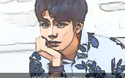 胡什么诚好听的男孩名字