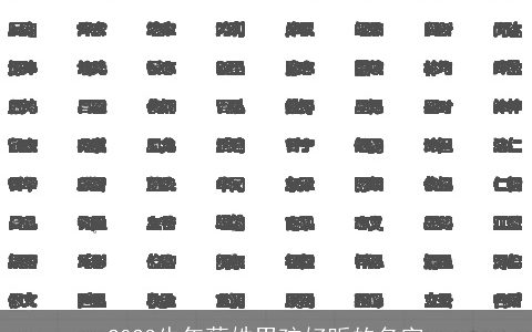 2024龙年蔡姓男孩好听的名字