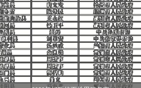 2024年好听的丁姓男孩名字