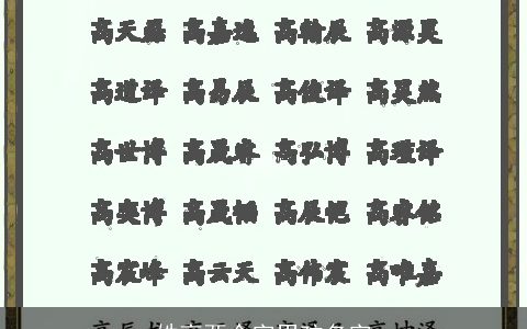 姓高两个字男孩名字