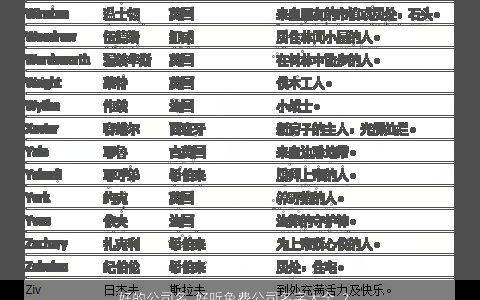 好的公司名 好听免费公司名字大全 2024有涵养好听的公司公司名字大全推荐