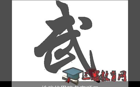 姓武的男孩名字顺口