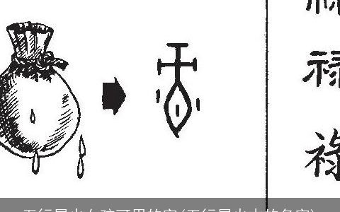 五行属火女孩可用的字(五行属火木的名字)