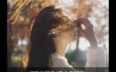 好听的网名(两个字网名)