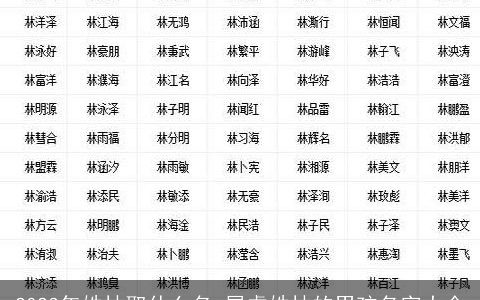 2023年姓林取什么名 属虎姓林的男孩名字大全