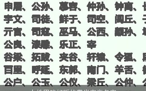 卜姓男孩好听的带米字旁名字