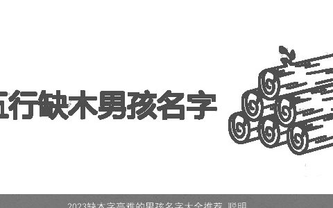 2023缺木字高雅的男孩名字大全推荐 聪明好听 高雅聪明好听的五行缺木的男孩名字推荐
