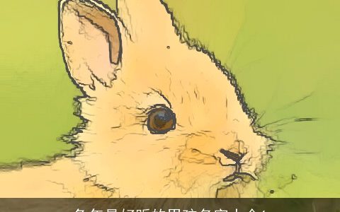 兔年最好听的男孩名字大全1