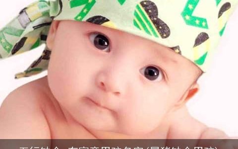 五行缺金 有寓意男孩名字(属猪缺金男孩)