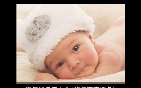 狗年取名字大全(狗年宝宝取名)