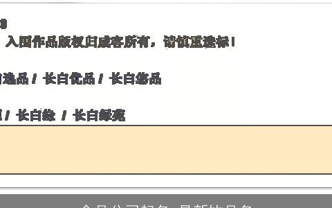 食品公司起名 最新饮品名