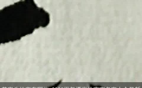 草字头的字有哪些 2024霸气漂亮的宝宝名字大全最新