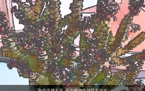 多肉店铺名字 多肉植物店铺取名大全 2023霸气好听的店铺店铺名字推荐