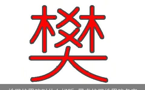 姓樊的男孩叫什么好听 属虎的樊姓男孩名字