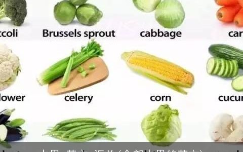 水果 英文 汇总(全部水果的英文)