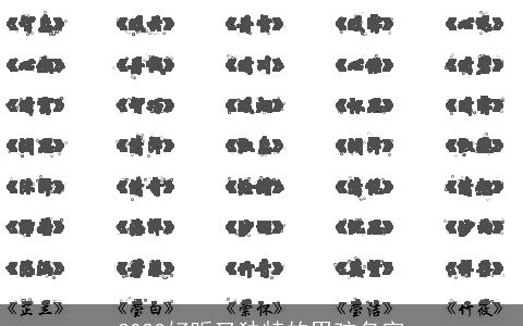 2024好听又独特的男孩名字