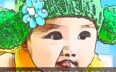 2024兔年重阳节出生的男孩八字缺水名字大全