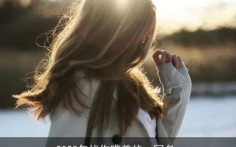 2024年忧伤唯美的qq网名_