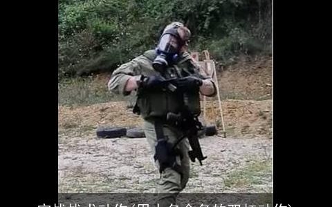 空战战术动作(用人名命名的双杠动作)