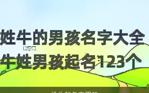 姓牛起名字男孩