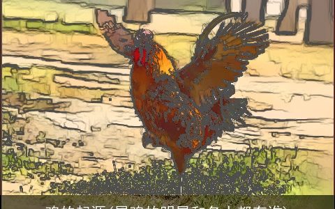 鸡的起源(属鸡的明星和名人都有谁)