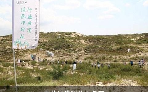 内蒙沙漠叫什么名字