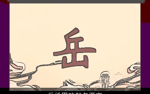 岳姓男孩起名两字