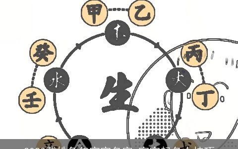 2024戴姓兔年宝宝名字 宝宝起名小技巧