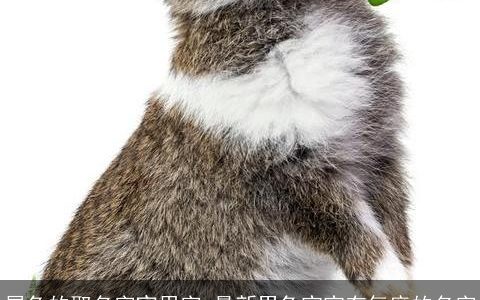 属兔的取名字宜用字 最新男兔宝宝有气度的名字