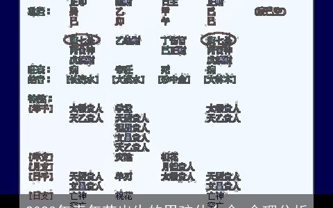 2023年青年节出生的男孩什么命 命理分析