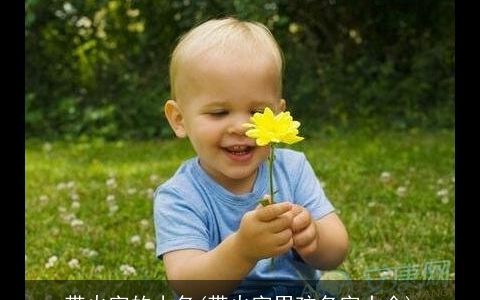 带火字的小名(带火字男孩名字大全)