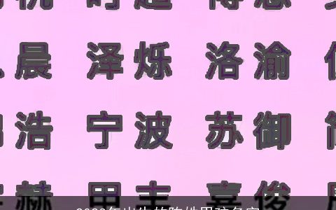 2023年出生的陈姓男孩名字