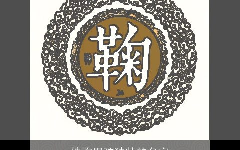 姓鞠男孩独特的名字