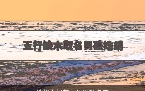 姓胡中间带一的男孩名字