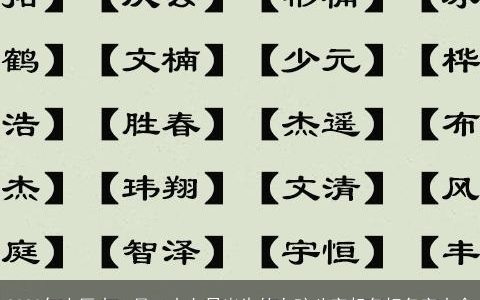 2024年农历十一月二十七日出生的女孩八字起名好名字大全