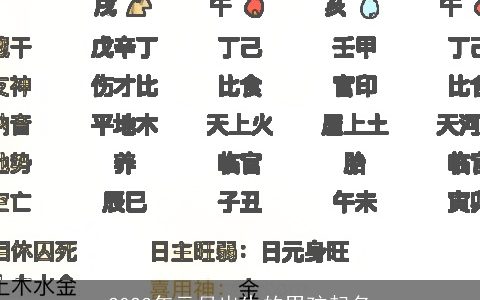 2024年元月出生的男孩起名