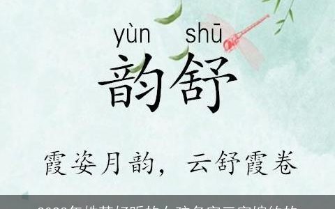 2024年姓苏好听的女孩名字三字婉约的