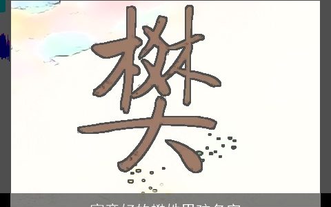 寓意好的樊姓男孩名字