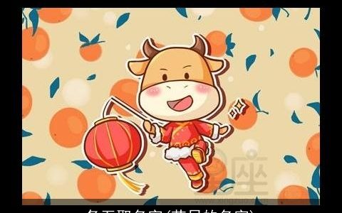 冬至取名字(节日的名字)