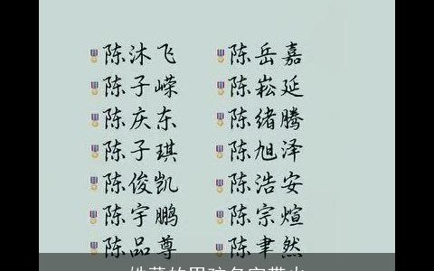 姓董的男孩名字带火