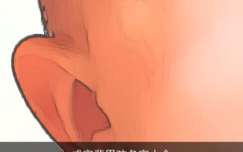 成字辈男孩名字大全