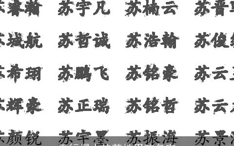 五行属水的苏姓男孩名字