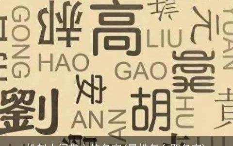 姓赵中间带文的名字(易姓怎么取名字)