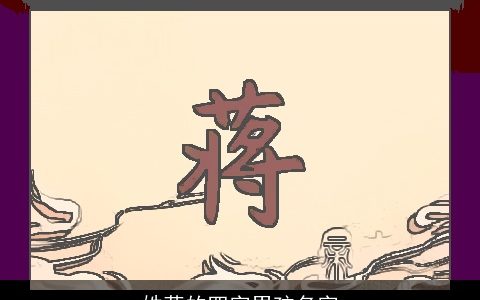 姓蒋的四字男孩名字