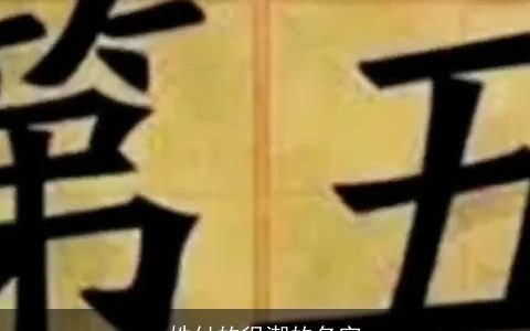 姓付的很潮的名字