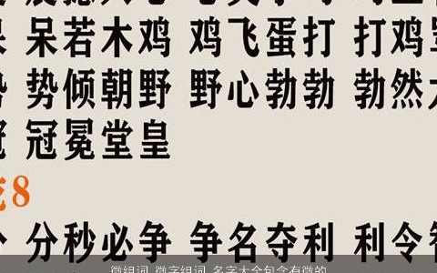 微组词 微字组词 名字大全包含有微的词语成语 2023帅气有涵养的成语名字