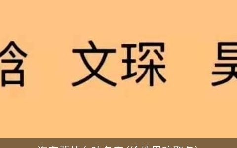 海字辈的女孩名字(徐姓男孩取名)