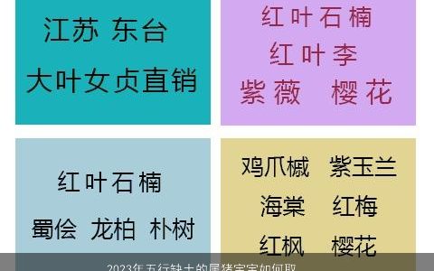 2023年五行缺土的属猪宝宝如何取名大全 霸气好听的五行缺土的猪宝宝名
