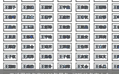 王姓男孩名字2024年属龙 好听的名字大全