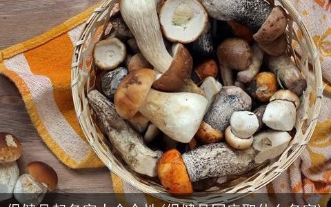 保健品起名字大全个性(保健品网店取什么名字)